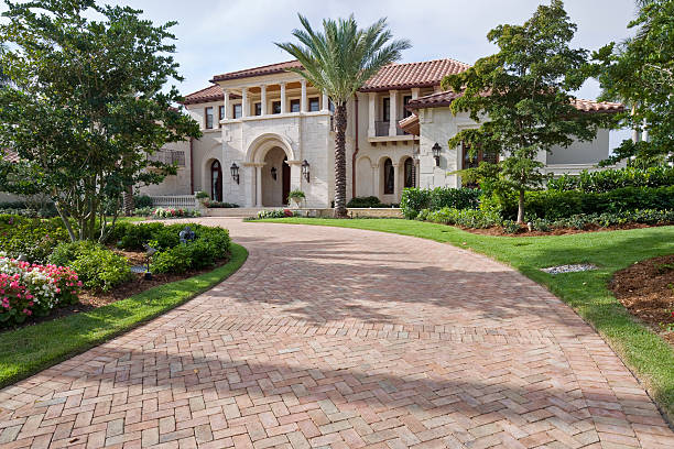Best Driveway Paving Contractor  in Lexington, NC